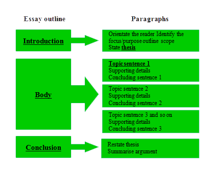 Introduction to the essay